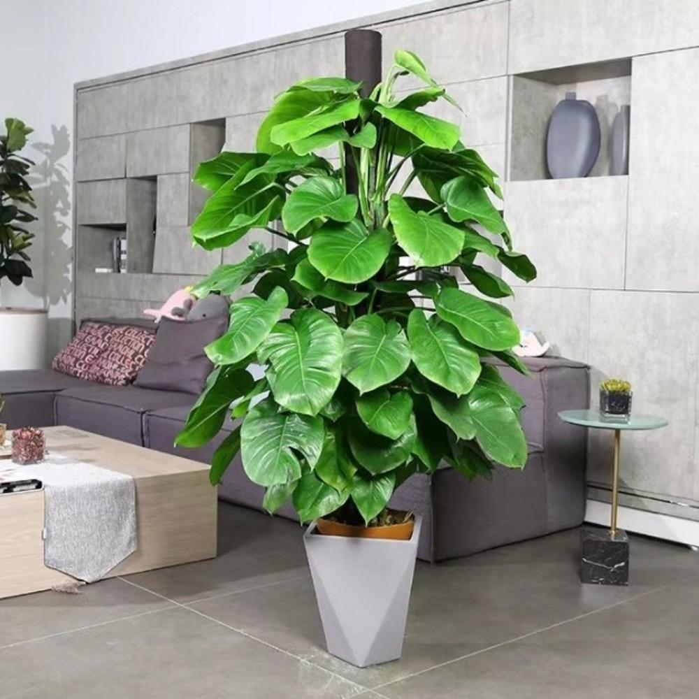 With Cover Plant Support Bracket Plastic Flower Pots Stand Climbing Plant Stand  Indoor Plant Use