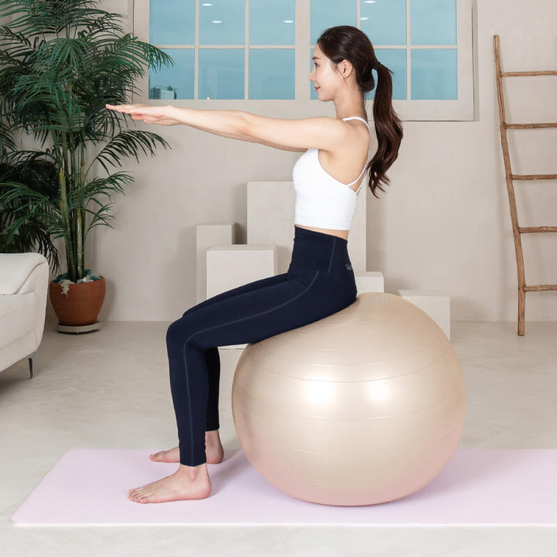 Anti-Burst Gym Ball 65cm Pregnancy Exercise Balance Ball