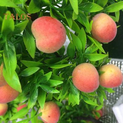 CO&LO 1 Adet Saksı Yapay Şeftali Meyve Ağacı Bonsai Ev Bahçe Masaüstü Dekor Prop