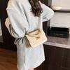 Korean Version of Fashion Handbag Small Bag Women's 2025 New Simple Small Square Bag Versatile Shoulder Messenger Bag