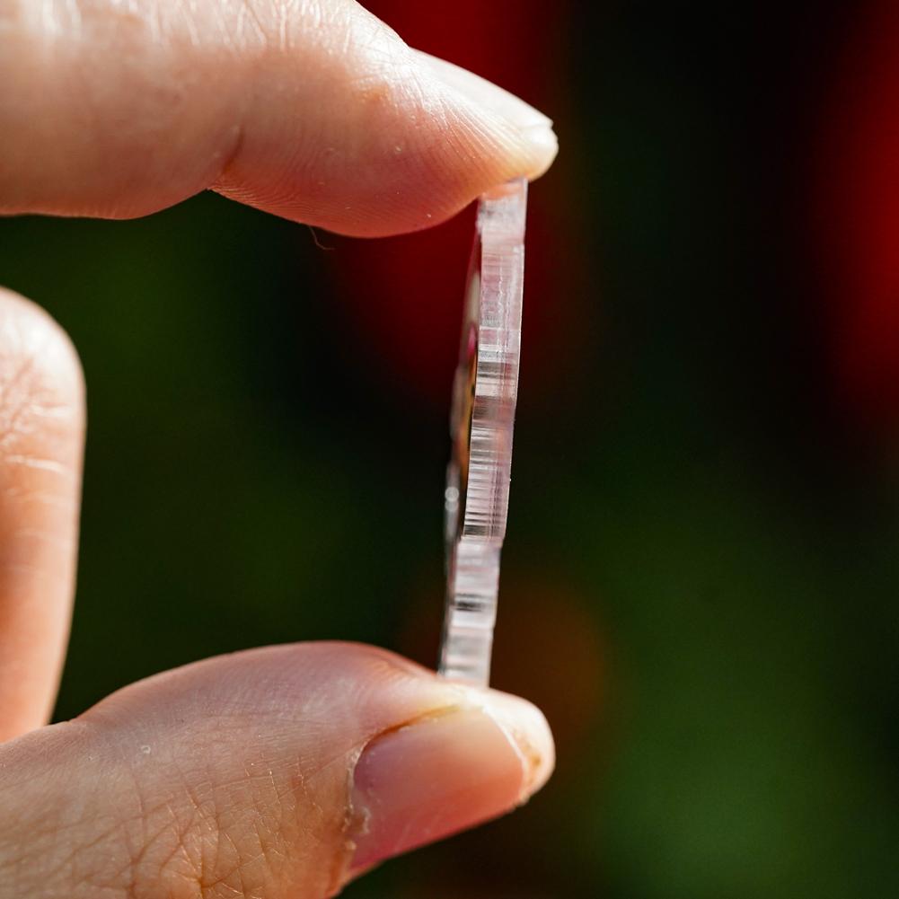 2D Cat Park Advent Calendar 2025 With 24 Surprise Figures Christmas Advent Calendar for Halloween And Christmas