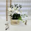 Butterfly Orchid Artificial Plant For Photography Decor And Home Styling