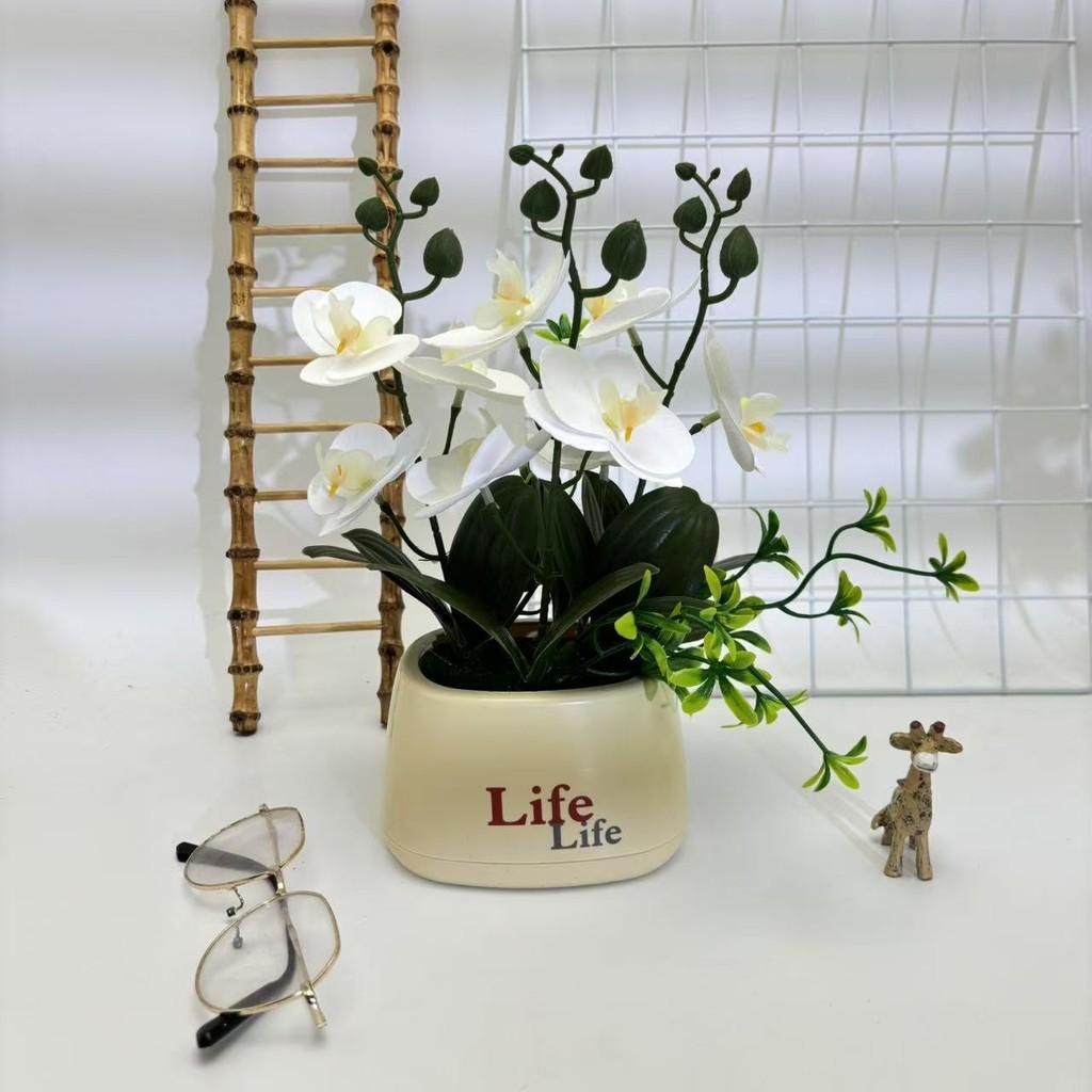Butterfly Orchid Artificial Plant For Photography Decor And Home Styling