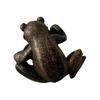Frog – kaip pavaizduota paveikslėlyje