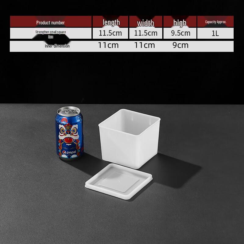 Large Plastic Ice Cube Tray with Lid