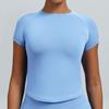 High-Stretch Seamless Nylon Yoga T-Shirt: Moisture-Wicking, Tight-Fit, Hip-Length Short Sleeve
