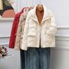 Light down jacket women's short new loose fashion stand-up collar white duck down small light jacket