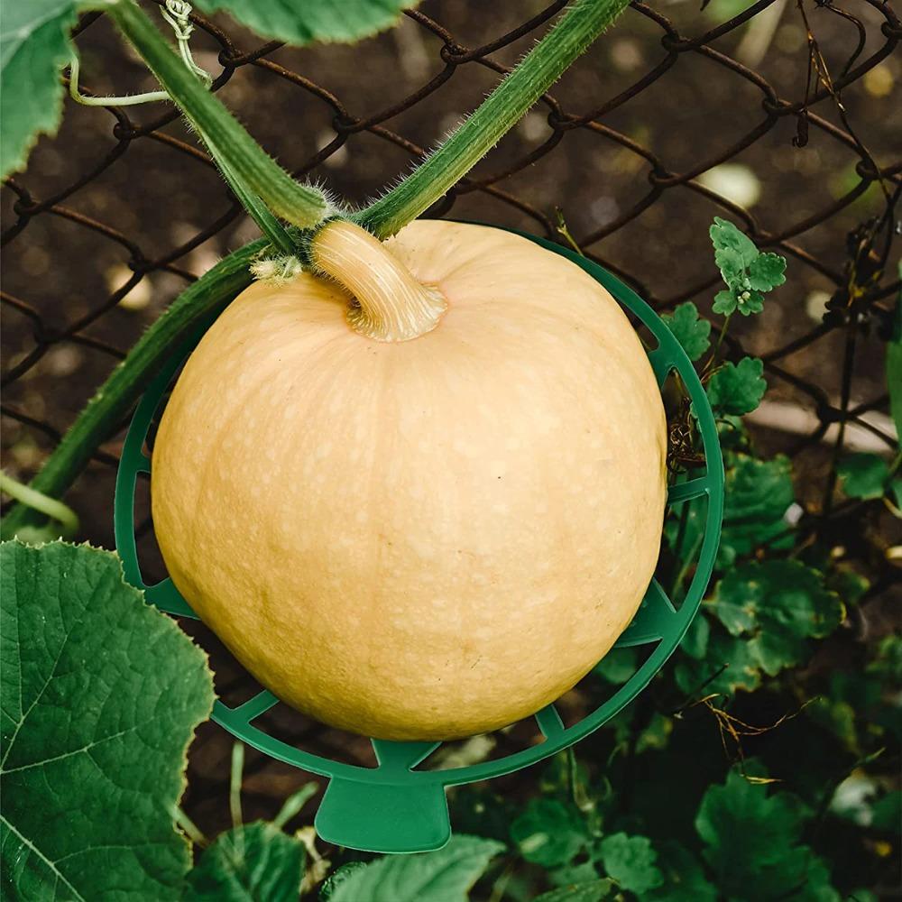 1pc Anti-Rotting Watermelon Stand Gardening Stand Vegetables Gardening Stand  Pumpkin Watermelon