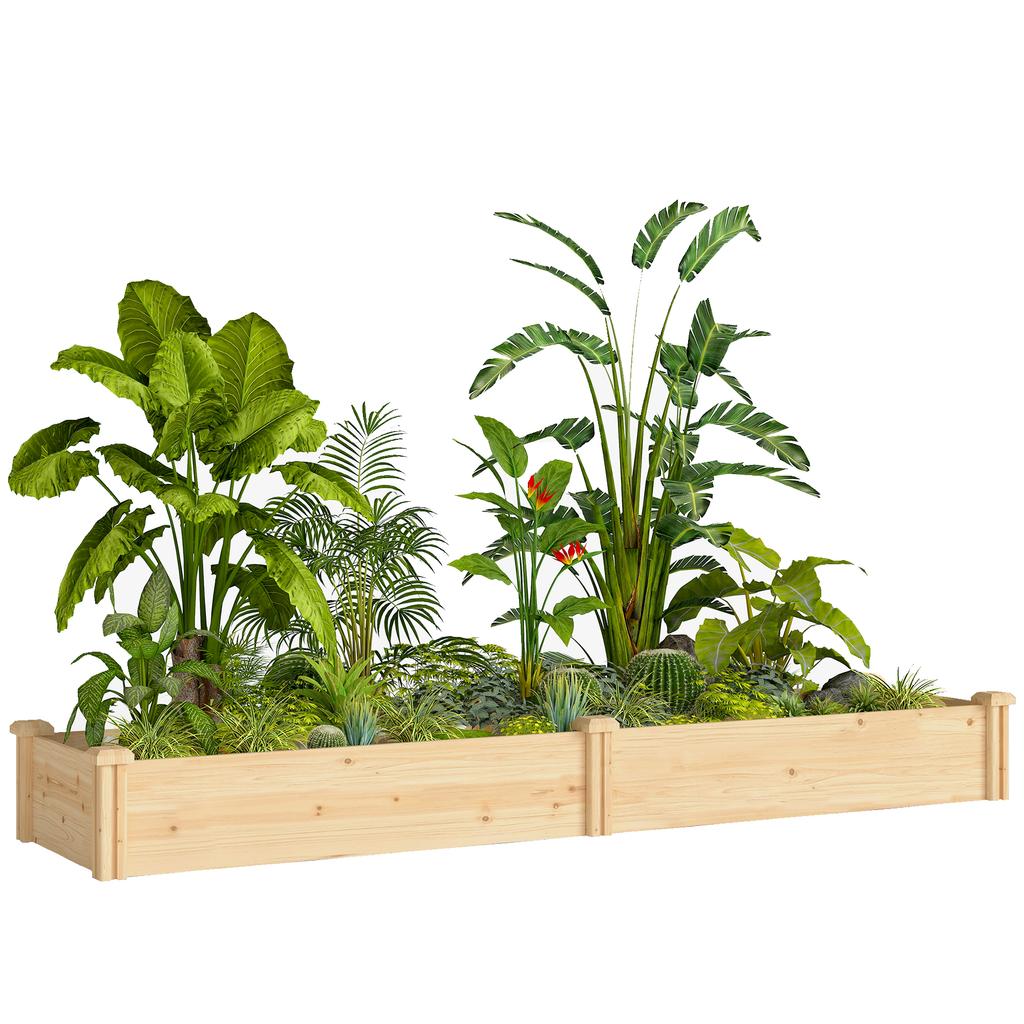 Raised Garden Bed Wood, Planting Bed with Partition, Open Bottom, Cold Frame Garden Bed, 235 x 66 x 26 cm, Natural Wood