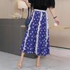 New Printed Pleated Skirt Medium and Long Lace Versatile Dress