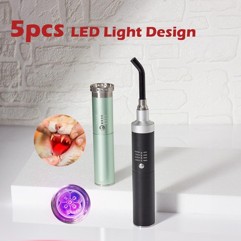 Red Light Therapy Device Cold Sore Canker Sore Treatment for Lips Infrared Light Therapy for Mouth Nose Ear with Removable Tip