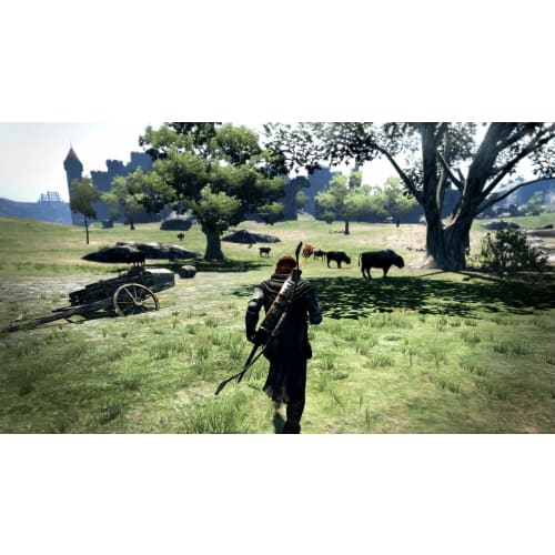 Dragon's Dogma: Dark Arisen -Switch