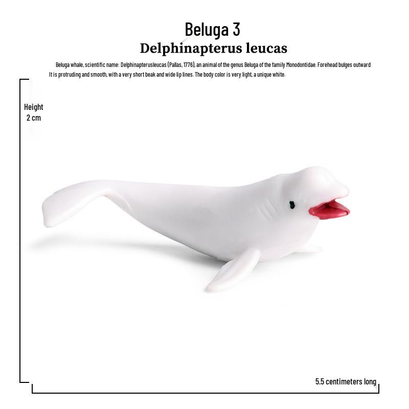 Children's Marine Animal Toy Set: Megalodon, Beluga, Octopus, Turtle, Dolphin & Manta Ray