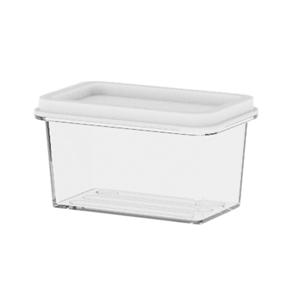 Plastic and Stainless Steel Refrigerator Crisper Food Storage Box with Plastic Lid Prepare Seafood Fruit Vegetable Picnic Box