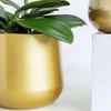 1Pc Modern Metal Crafts Pot Short Hgih Mouth Flower Pot Plant Pot Vase Planter Sturdy Luxury Planter Container for Garden House