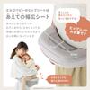 Ergobaby Lift Hip Pearl 6 Months and Up Seat, Gray, (CREGBCHIPGRYBX)