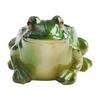 Realistic Design Frog Succulent Plant Pots Indoor Decor Resin