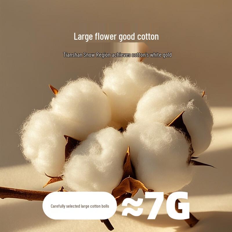 Mercury Home Textiles Premium Xinjiang Cotton Quilt