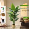 Luxurious Indoor Bionic Bird of Paradise Faux Plant