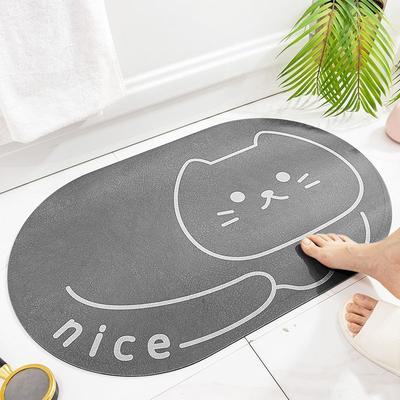 Huiskat diatomeeënaarde kussen badkamer badkamerdeur absorberend vloerkleed toilet bad antislip instap voetkussen