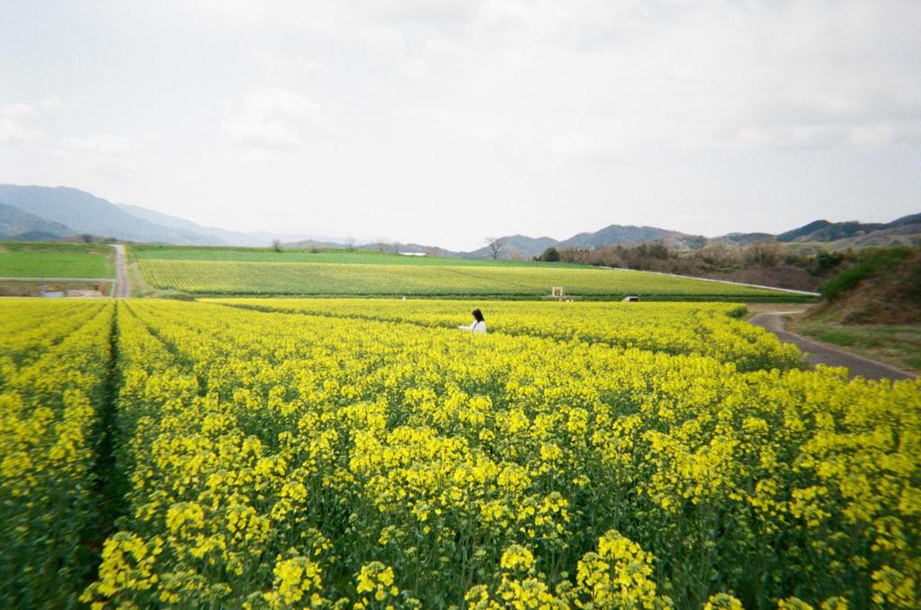 Set of 3 Disposable Cameras [1-SHOT] 27 Exposures [Includes Development and Smartphone Transfer]  Return by Post or Ship via LINE  Retro, Travel,