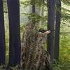 Jungle Cloak Camouflage 3D Maple Leaf Jungle Cloak, Big Tree Camouflage Camouflage