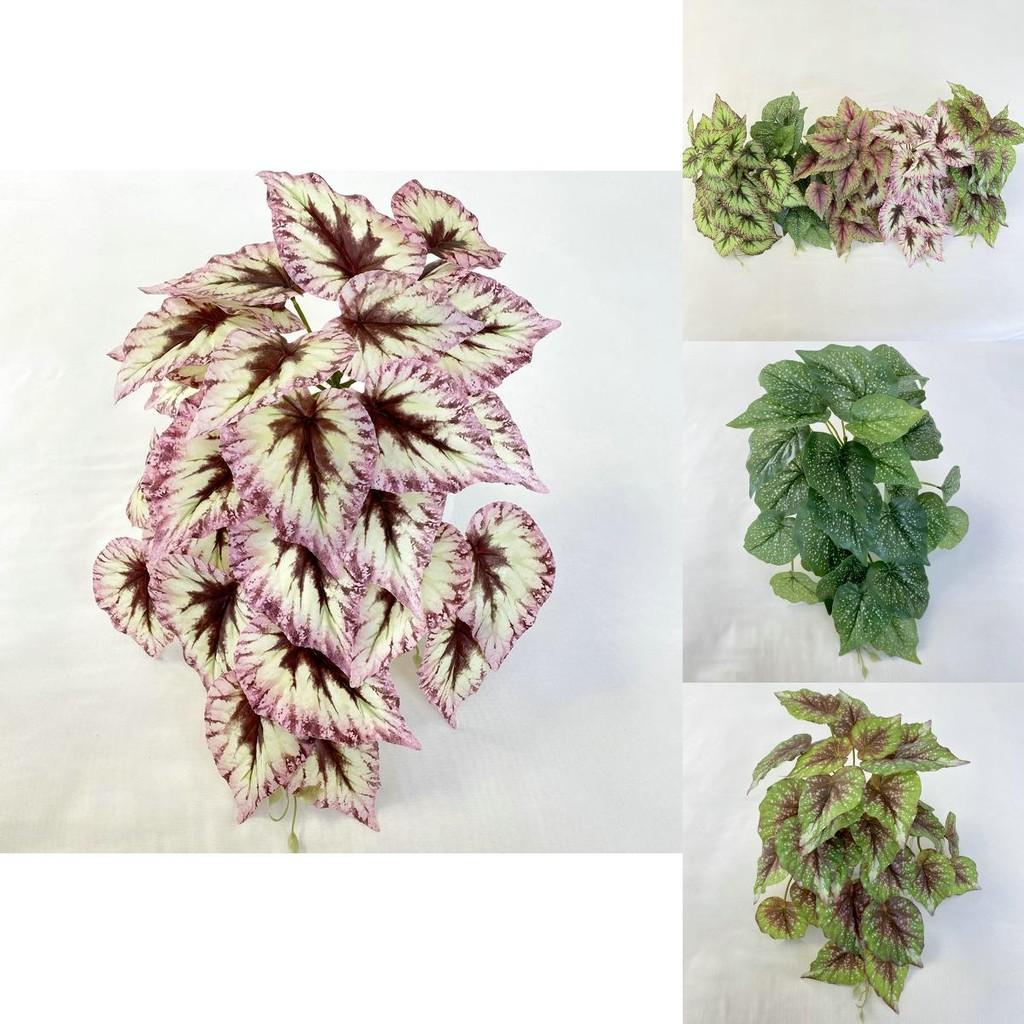 Artificial Begonia Wall Mounted Plant For Photography Props And Home Decor