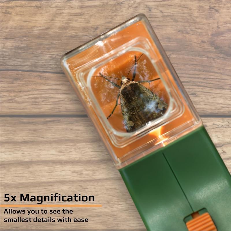 A handheld insect spotter with a transparent window for outdoor exploration. Gardening and nature research are ideal for backyard adventures