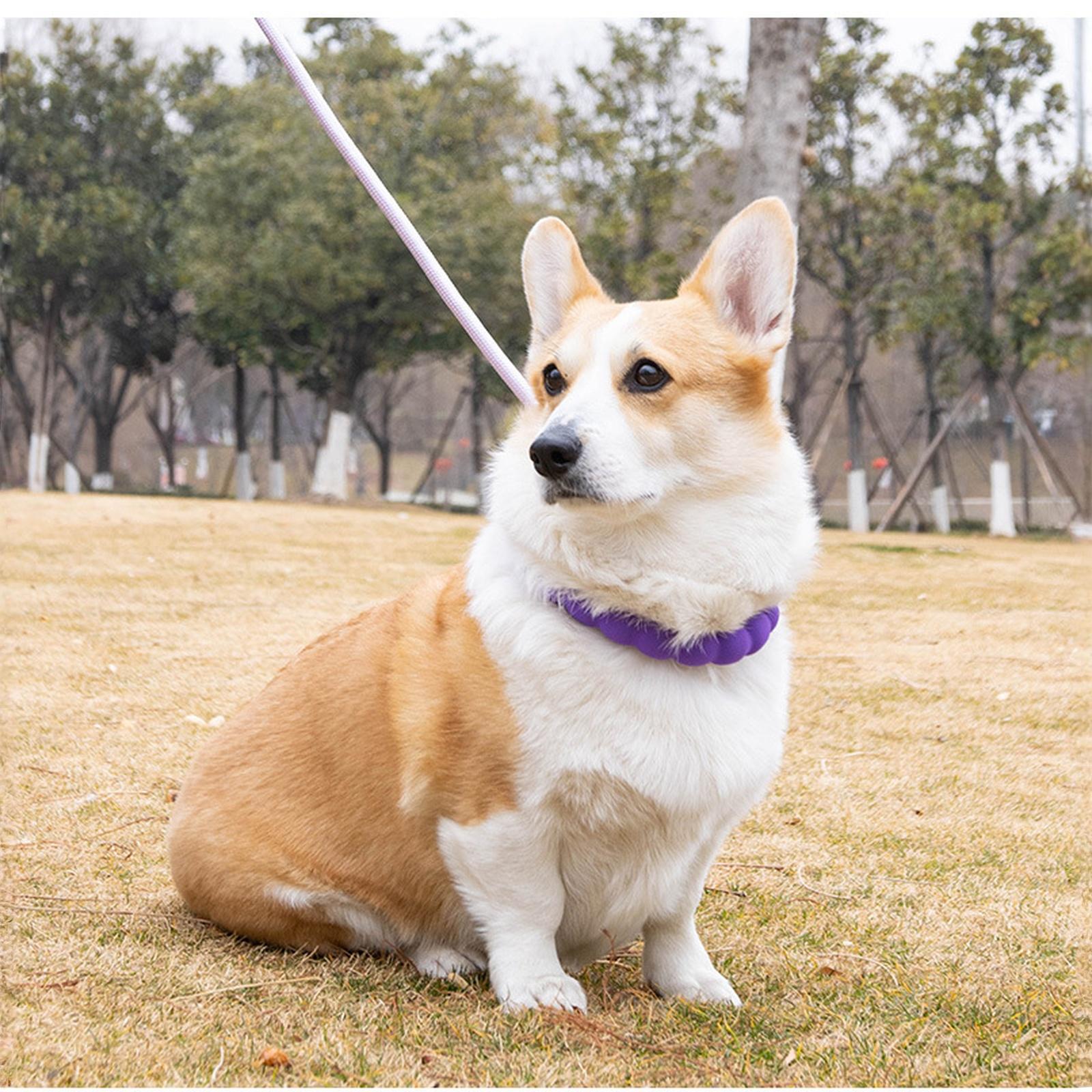 

Dog Leash with Soft Foam Beads Comfortable Grip Durable Non-Tangle Design Adjustable Length Lightweight Pet Walking Leash for Small Dogs one size