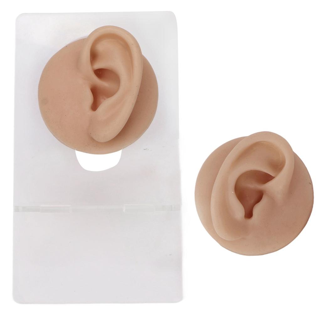 Ear Model Soft Silicone High Simulation Clear Structure Human Ear Model for Piercing Practice Dark