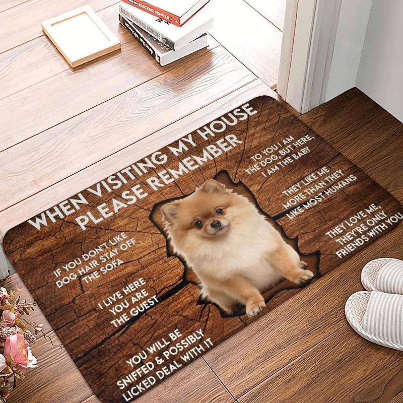 Corgi Themed Funny House Rules Living Room Door Mat Carpet Wood Texture Cute Corgi Pattern Humorous Visitor Notice Home Decor