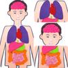 Body Human Organ Puzzle Science Educational Diy Set Cognitive Development Kids