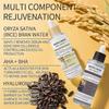 Peel Shot Glow Rice Peeling Ampoule White Rice Ampoule + Black Rice Ampoule Set, Soft Exfoliating Face & Body Scrub Dead Skin, Blackheads Remover for 