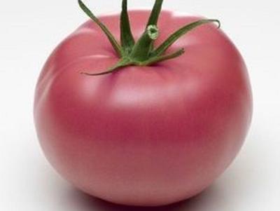 25 Samen Rosa Tomate aus Bern - Alter Gemüsegarten - nachbaubare Bauernsamen - Semi-Wild