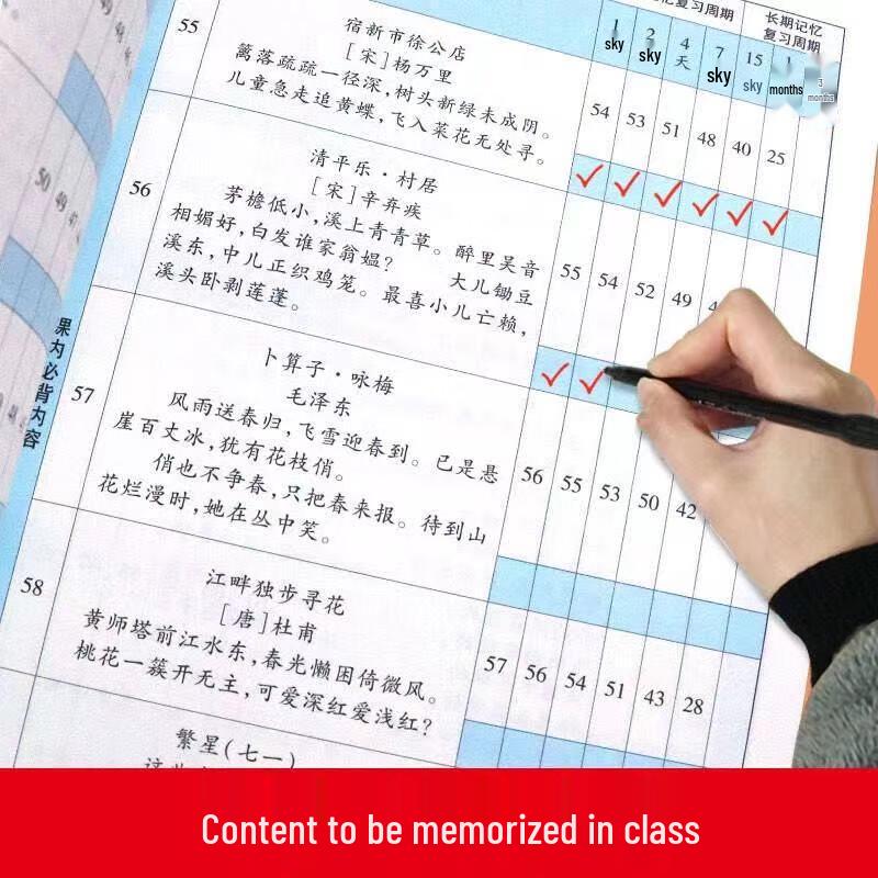 Peiyou Xiaozhuangyuan Primary School Study Plans