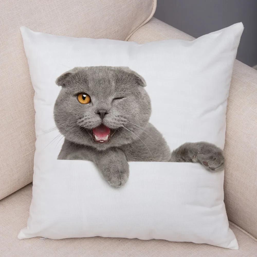 1PC 45x45cm Cute Cat Pillowcase for Home Sofa Children Room Decor Lovely Pet Animal Print Cojines Cushion Cover Pillow Case