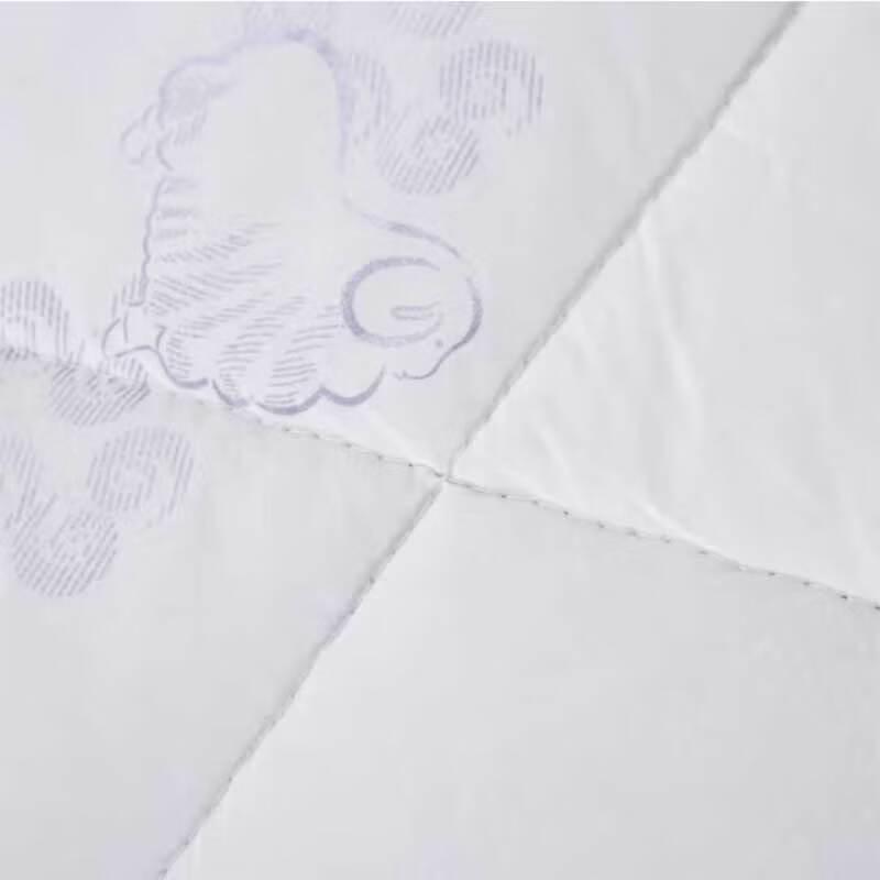 Youmengjiaju Winter Warm Wool Duvet