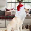 Cat Dog Christmas Santa Hat Funny Cute Santa Hat Pet Costume For Winter Days Night Outside Family Friends Youth Teens Girls Boys