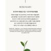 AROMATICA - Rosemary Root Volumizing Scalp Ampoule