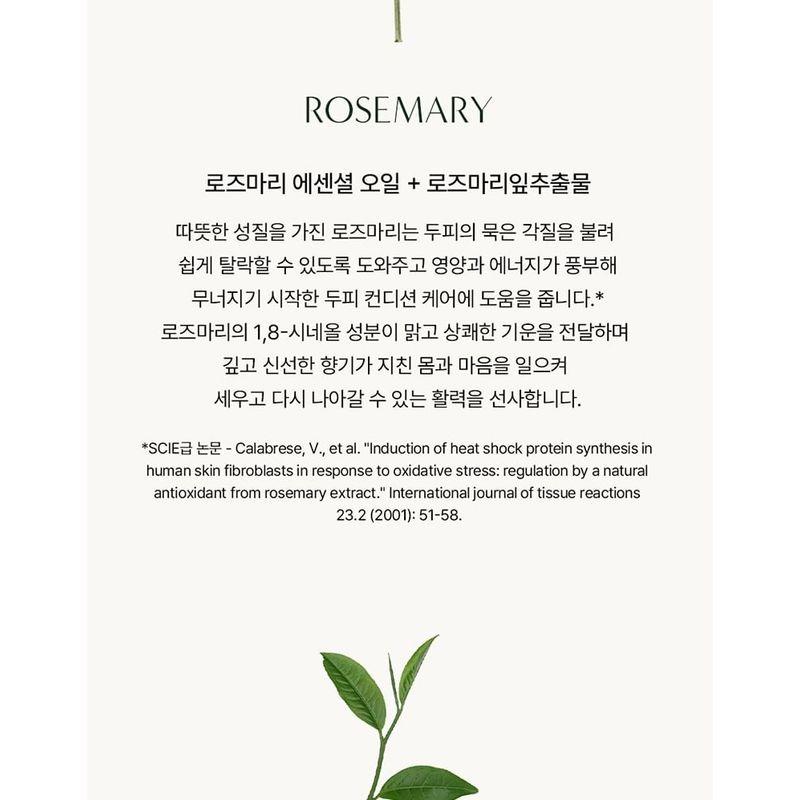 AROMATICA - Rosemary Root Volumizing Scalp Ampoule