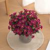5pcs Artificial Flowers Plants 31cm Sun Flower Colorful Small Daisy Silk Home Garden Decoration Chrysanthemum Wedding DIY Party
