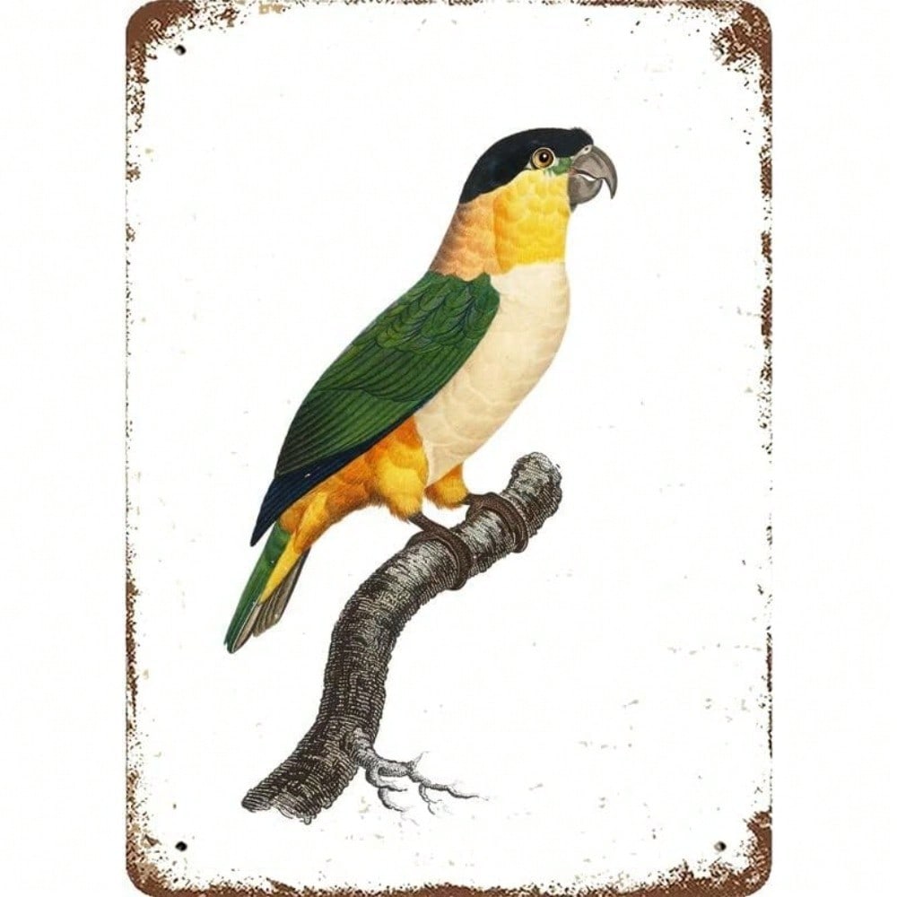 Винтажная жестяная табличка Тропический ананас Настенное искусство Декор кухни 20x30