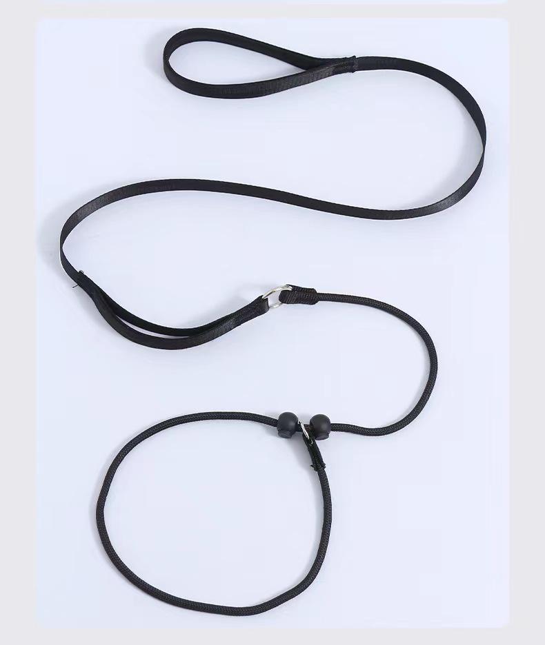 Dog Leash Traction Rope for Small to Medium Breeds