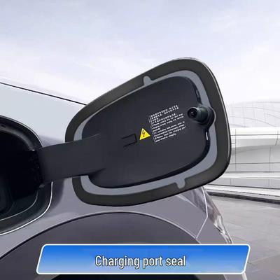 BYD Seagull Dolphin Charging Port Cover: Waterproof Dustproof Ring Car Decoration