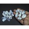 19Pcs Natural Dendrite Opal Mix Shape Cabochon Loose Gemstone Lot 575cts. C-575