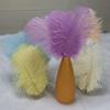 10Pcs 15-20cm Ostrich Feathers Table Accessories Stage Props Ostrich Plumes Carnival Plumas Decor Fluffy Feather Accessories