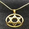 Davidstern Schild Edelstahl Anhänger Halskette Goldfarbene Kette Hexagramm Männer Frauen Je Israel Judaica Schmuck N1111S02