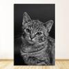 Decor Decorations For House Decoration Room Wall Stickers Home Decor Living Room Paintings By The Cat Poster Painting Nursery