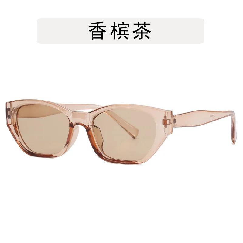 New Trendy European American Cat Eye Sunglasses Woman Fashionable Sunglassess Man Outdoor Skiing Casual Sunglasses
