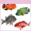 Pvc Tropical Ocean Animal Model Set Including Red Silk Fish And Green Snapper For Home Decor